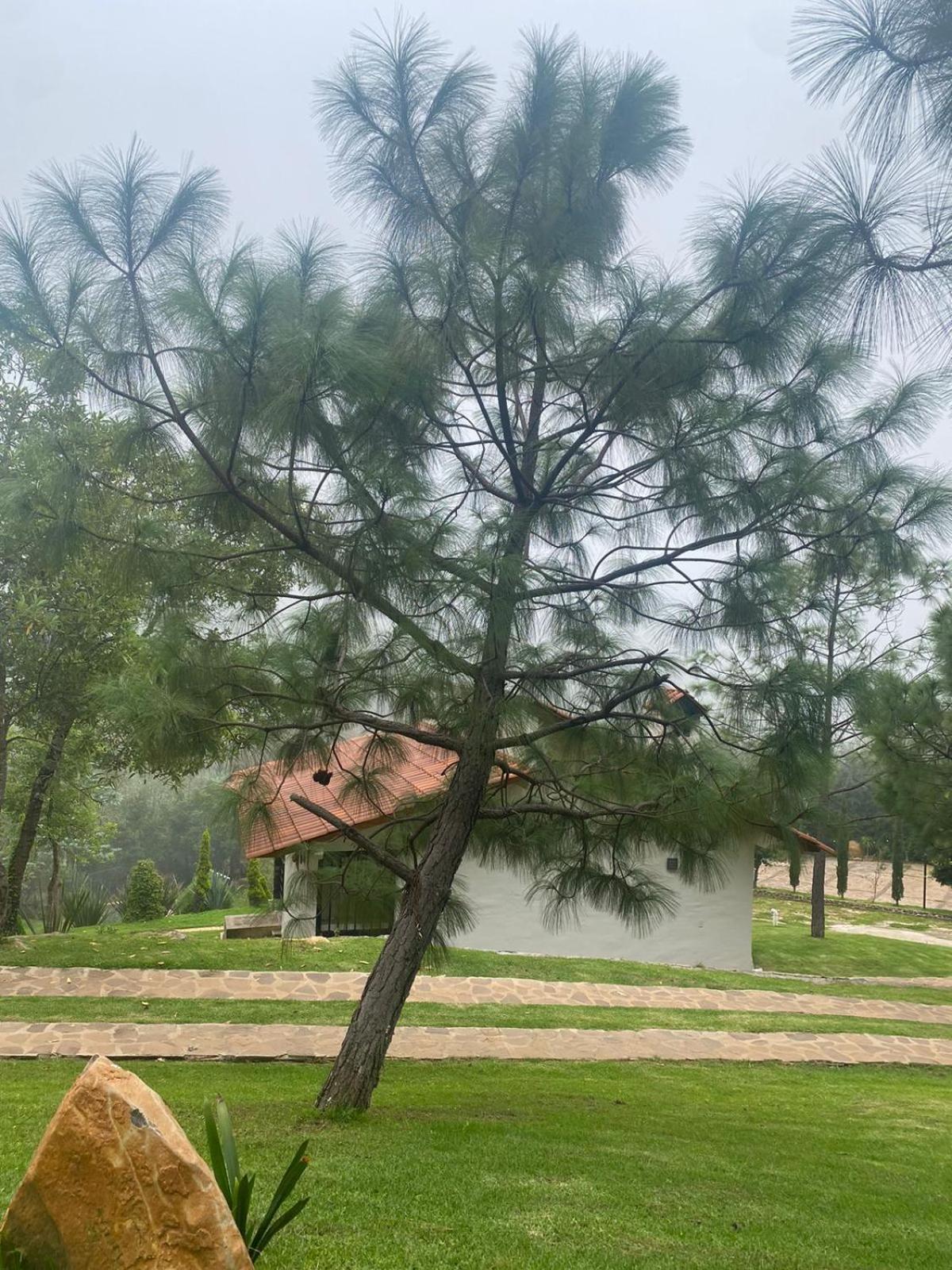 Cabanas Santorito Mazamitla Εξωτερικό φωτογραφία